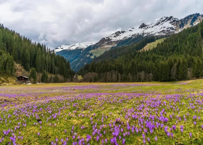 Apartment In Near Hochzillertal Skiing Fuegen