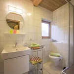 Apartment In Near Hochzillertal Skiing Fuegen