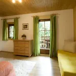 Apartment In Near Hochzillertal Skiing Fuegen