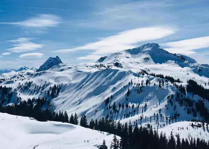 Lägenhet In Near Hochzillertal Skiing Fügen